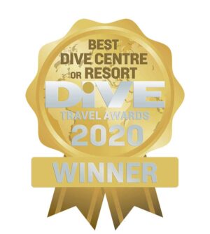 Dive Travels Award