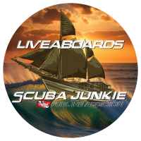 www.scubajunkieliveaboards.com