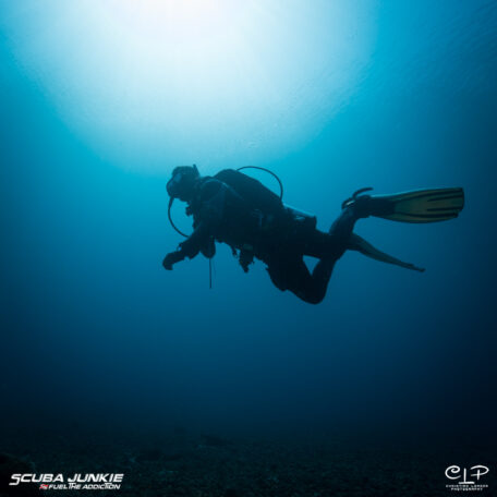 Diving Komodo