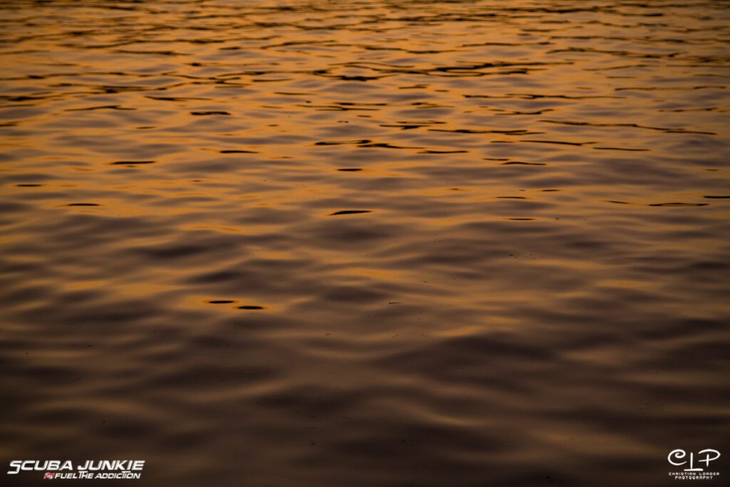 Dry Season / Wet Season
