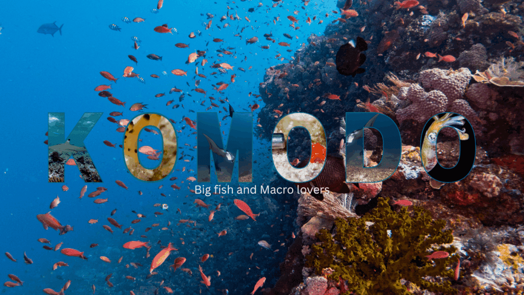 Komodo underwater paradise