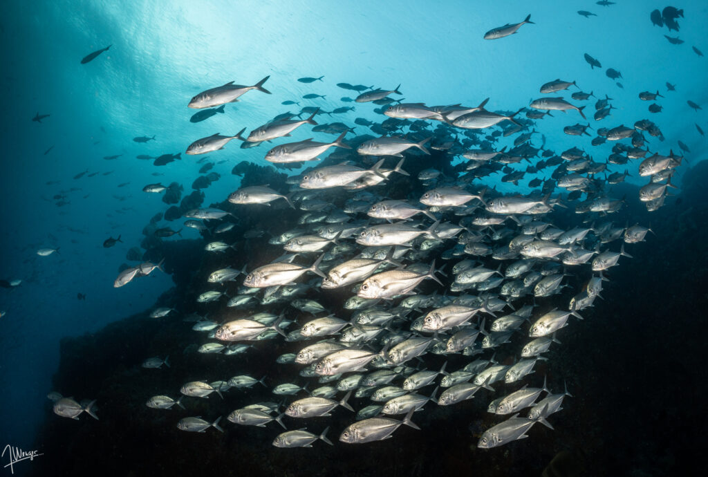banda sea