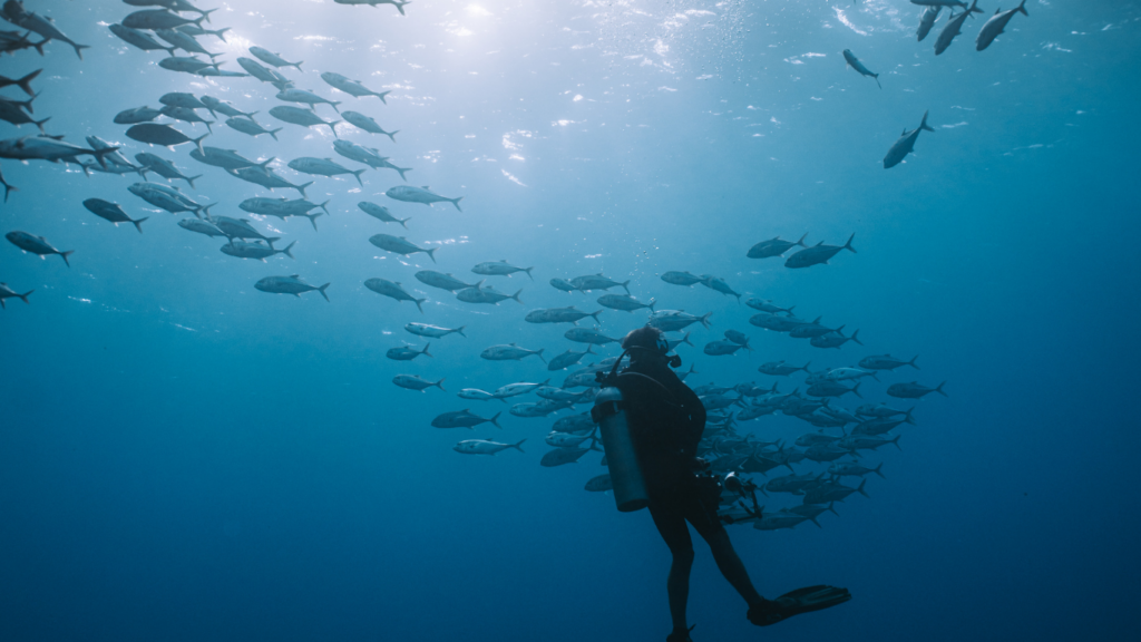 world oceans day